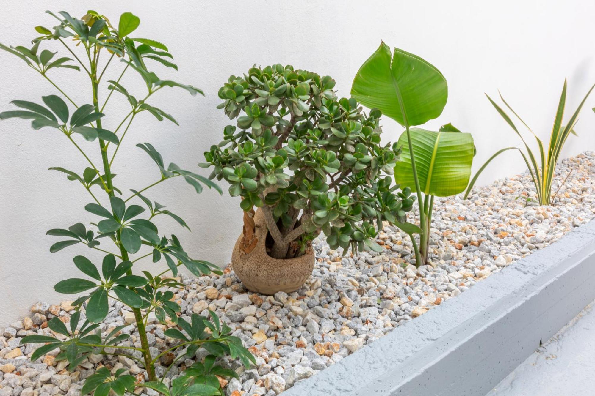 Garden Luxury Apartment Heraklion  Exterior photo