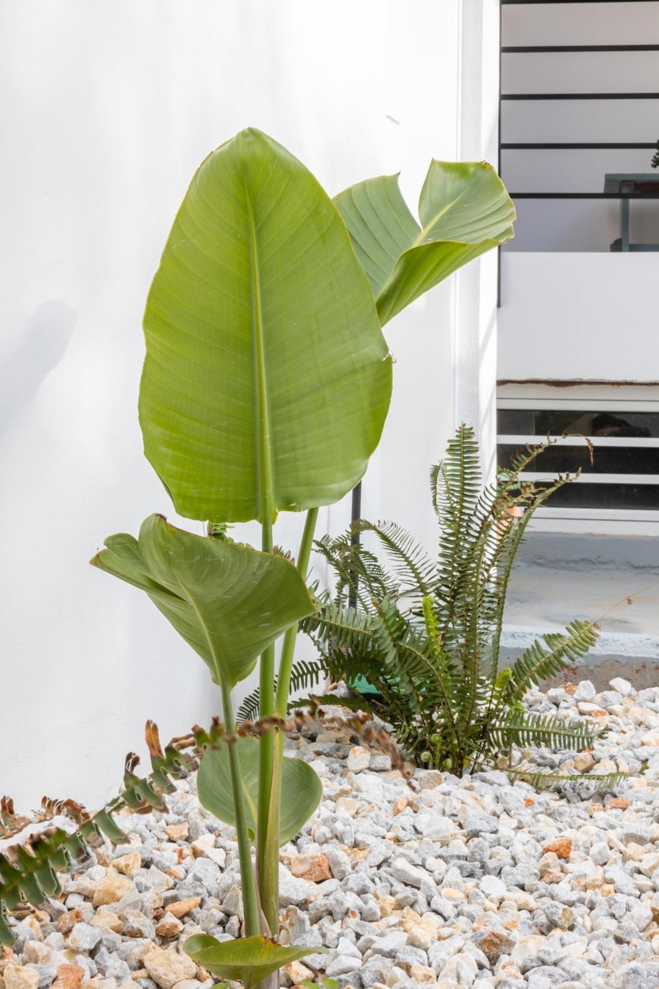 Garden Luxury Apartment Heraklion  Exterior photo